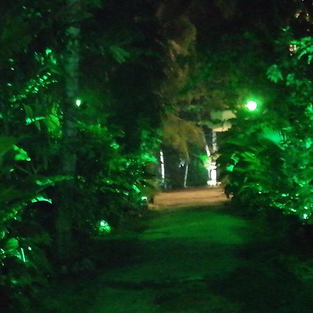 Nooit Gedacht Holiday Resort أونا واتونا المظهر الخارجي الصورة