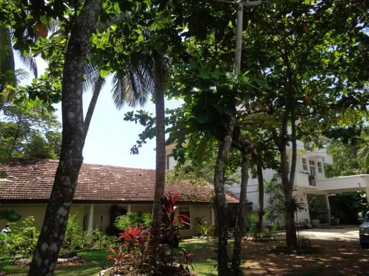 Nooit Gedacht Holiday Resort أونا واتونا المظهر الخارجي الصورة