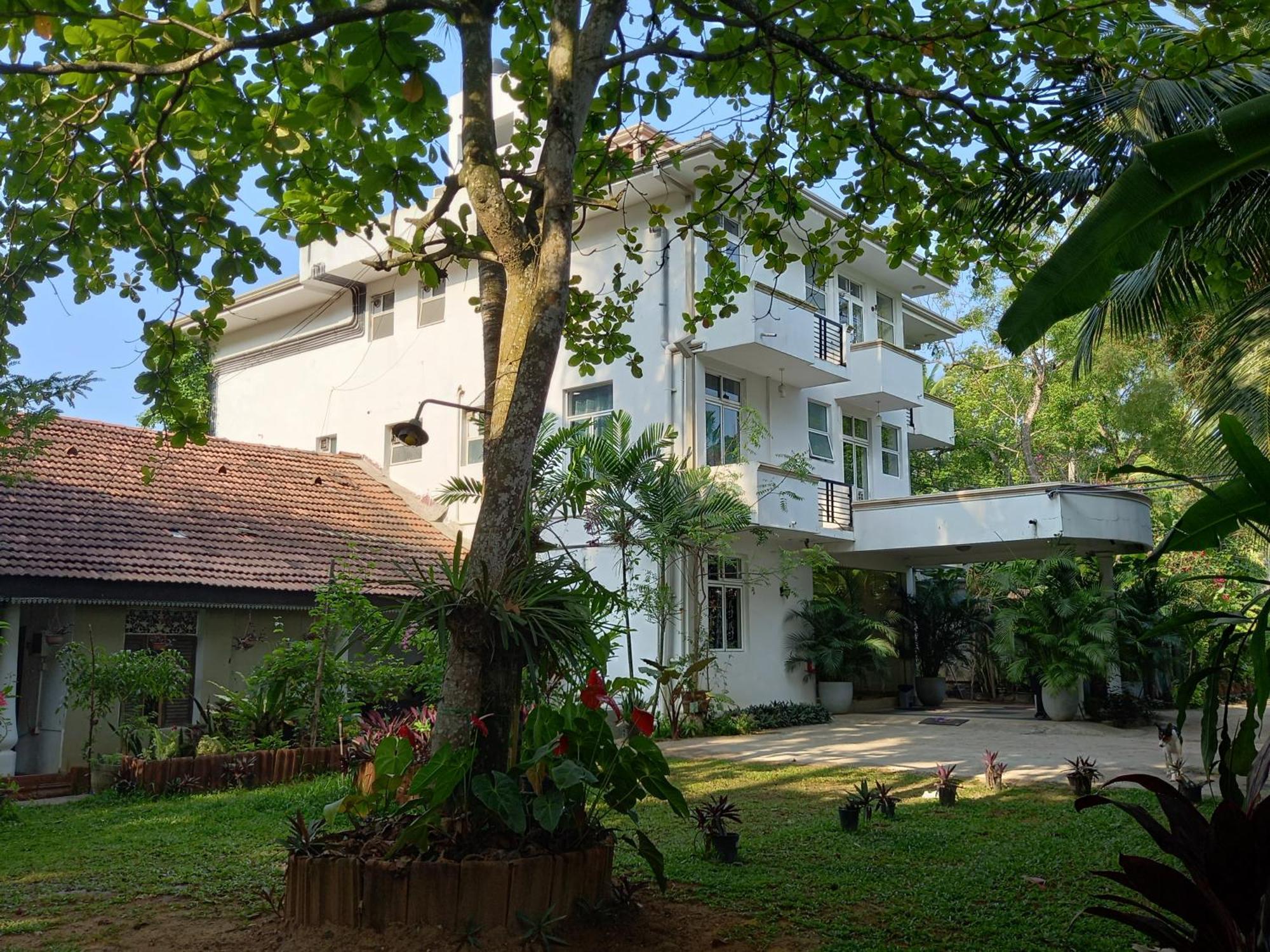 Nooit Gedacht Holiday Resort أونا واتونا المظهر الخارجي الصورة