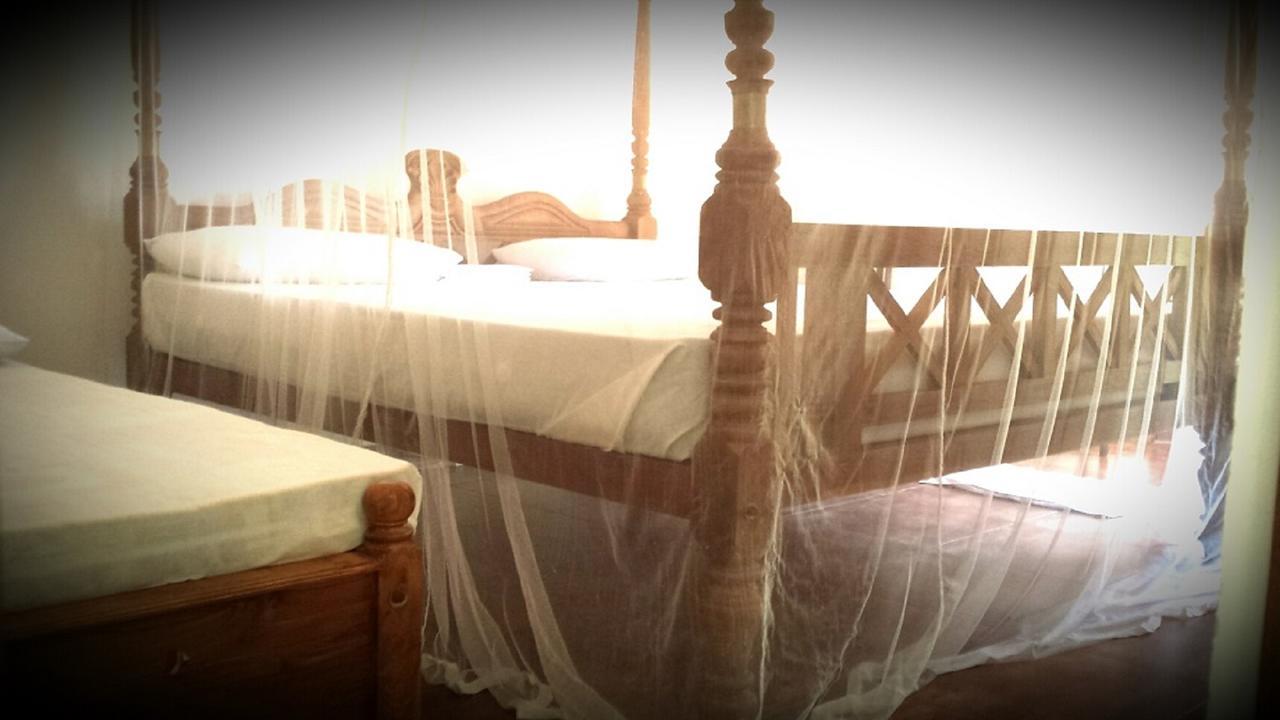 Nooit Gedacht Holiday Resort أونا واتونا المظهر الخارجي الصورة