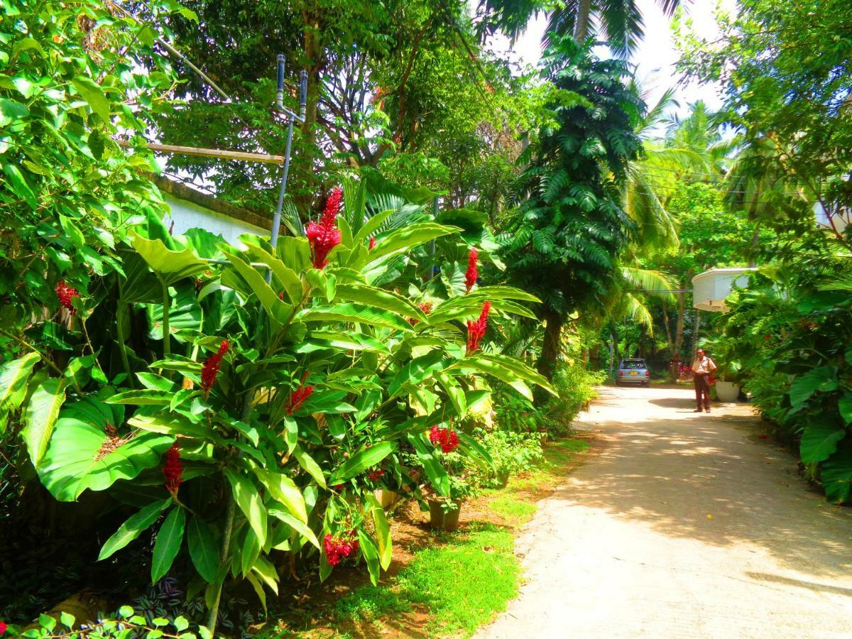 Nooit Gedacht Holiday Resort أونا واتونا المظهر الخارجي الصورة